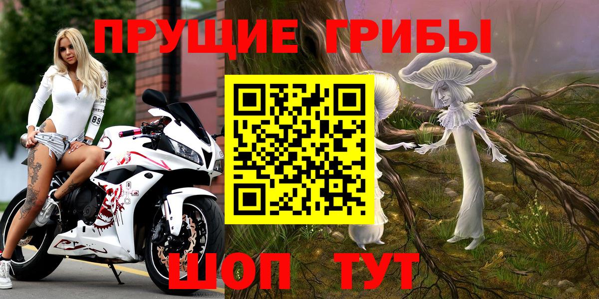 Кировск  Галлюциногенные грибы мицелий  Галлюциногенные грибы прущие грибы  Вход с VPN 
